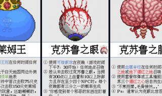 泰拉瑞亚谁住在雪原